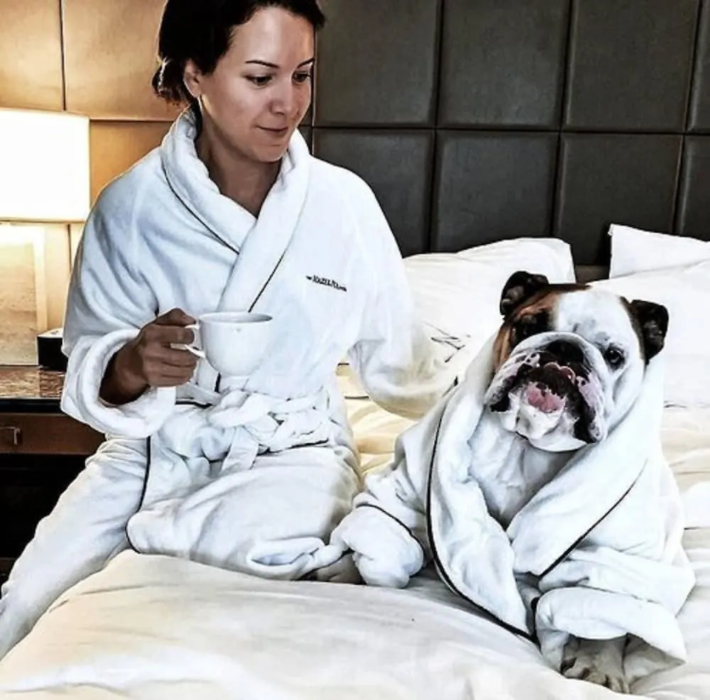 The Hazelton Hotel Toronto